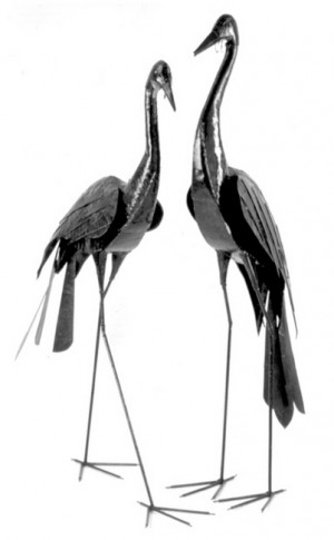 Z1C-Wattled_Crane_Up__Walking_Full_Size.jpg